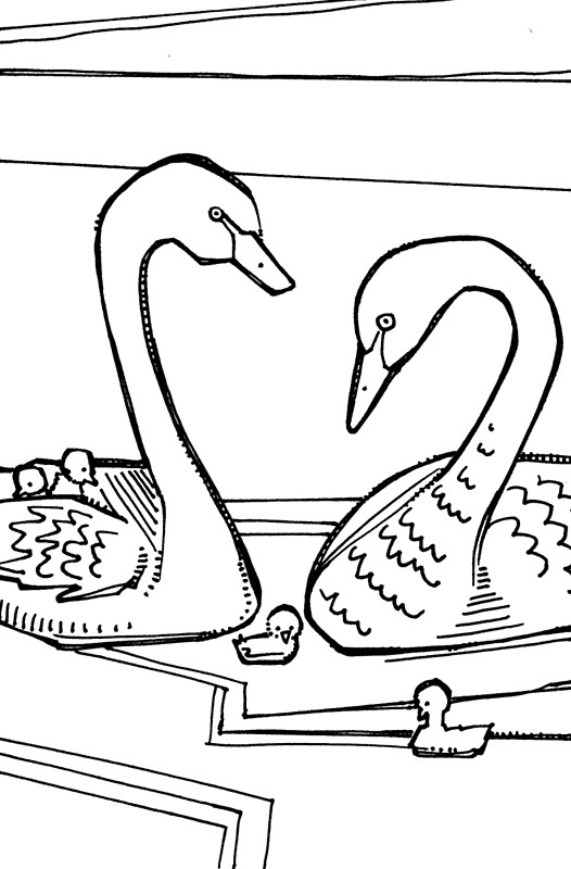 Black Swan coloring #1, Download drawings