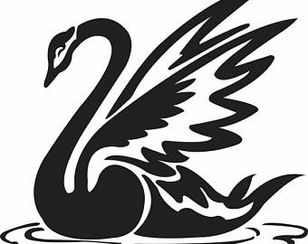 Black-necked Swan svg #5, Download drawings