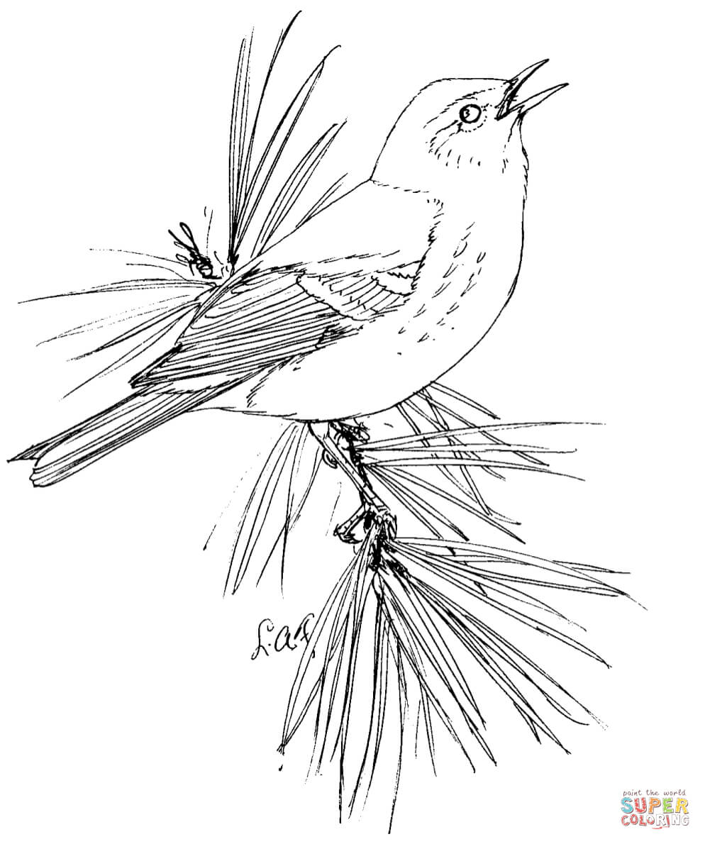 Black Trimian Warbler coloring #10, Download drawings