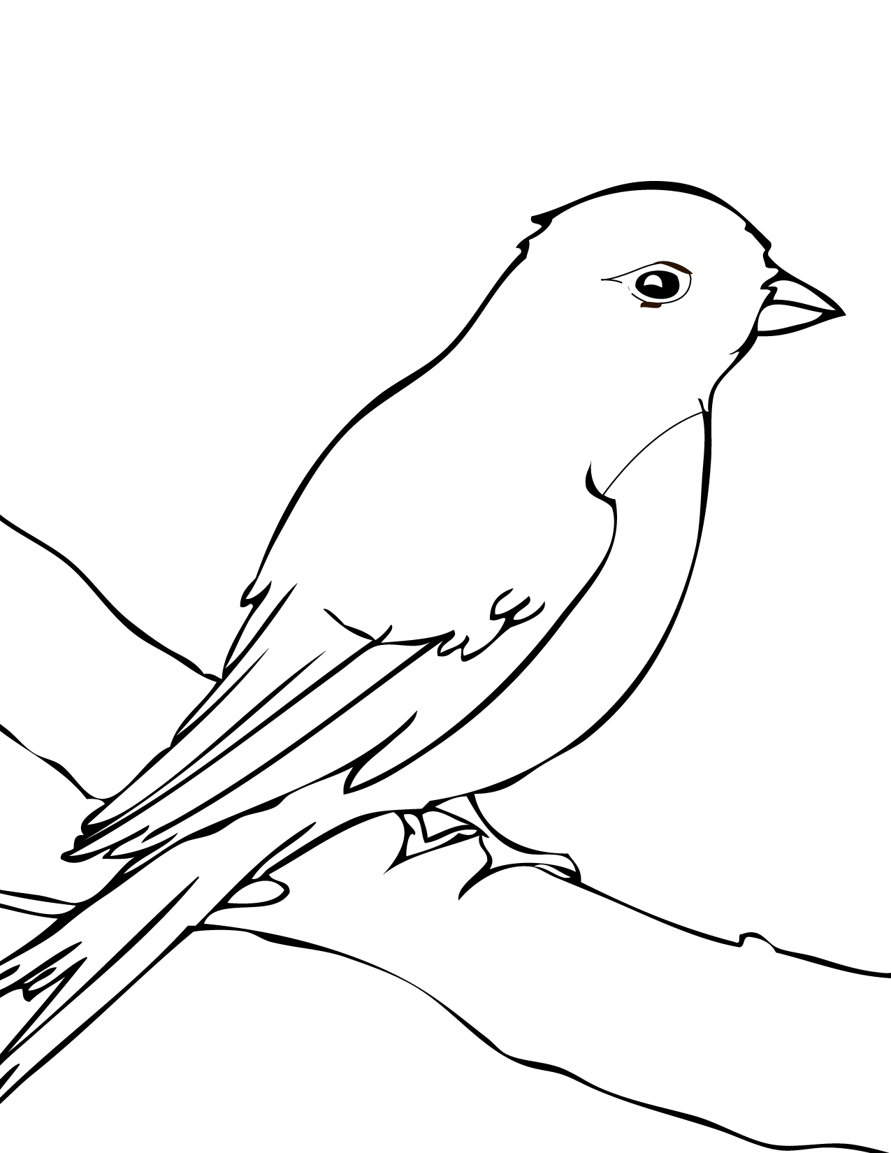 Blackbird coloring #3, Download drawings