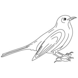 Blackbird coloring #16, Download drawings