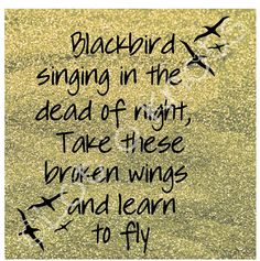 Blackbird svg #1, Download drawings