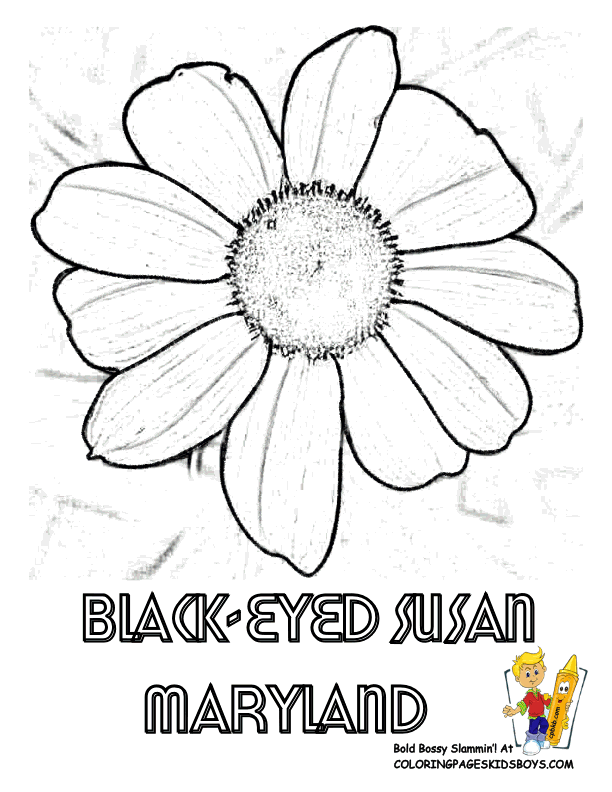 Black-eyed Susan coloring #6, Download drawings