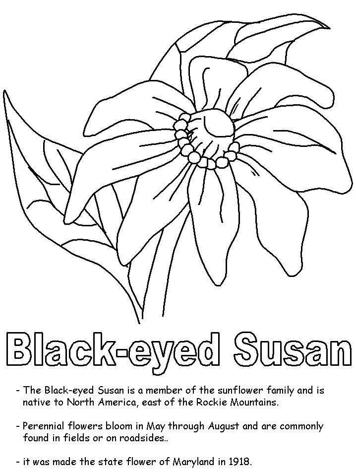 Black-eyed Susan coloring #20, Download drawings