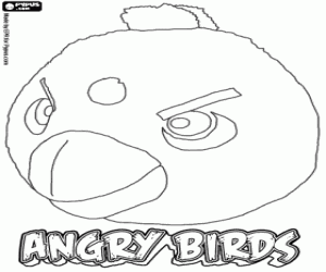 Black-masked Blackbird coloring #9, Download drawings