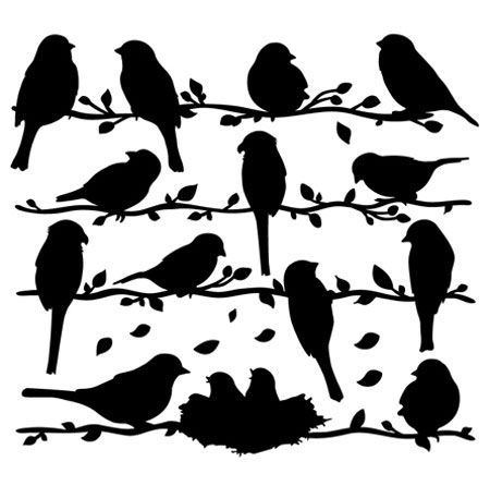 Black-masked Blackbird svg #11, Download drawings