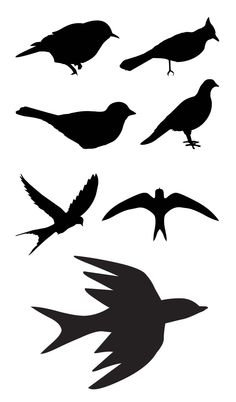 Black-masked Blackbird svg #19, Download drawings