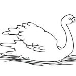Black-necked Swan coloring #15, Download drawings
