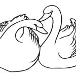 Black-necked Swan coloring #16, Download drawings