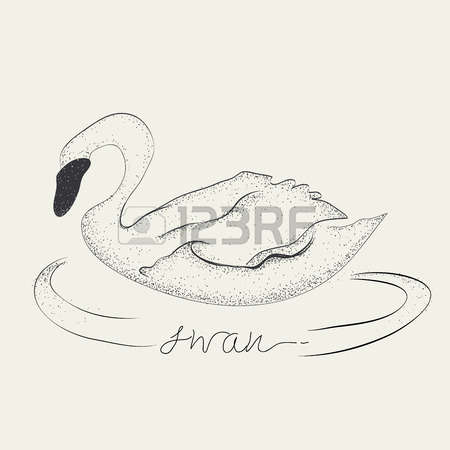 Black-necked Swan coloring #9, Download drawings