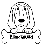 Bloodhound coloring #12, Download drawings
