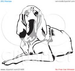 Bloodhound coloring #3, Download drawings