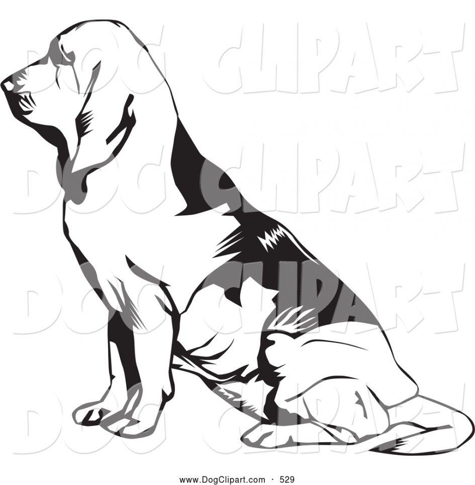 Bloodhound coloring #13, Download drawings