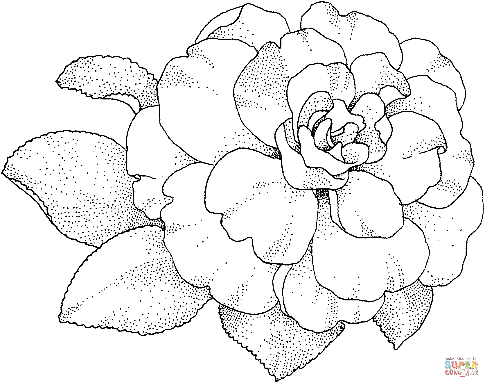 Camellia coloring #18, Download drawings