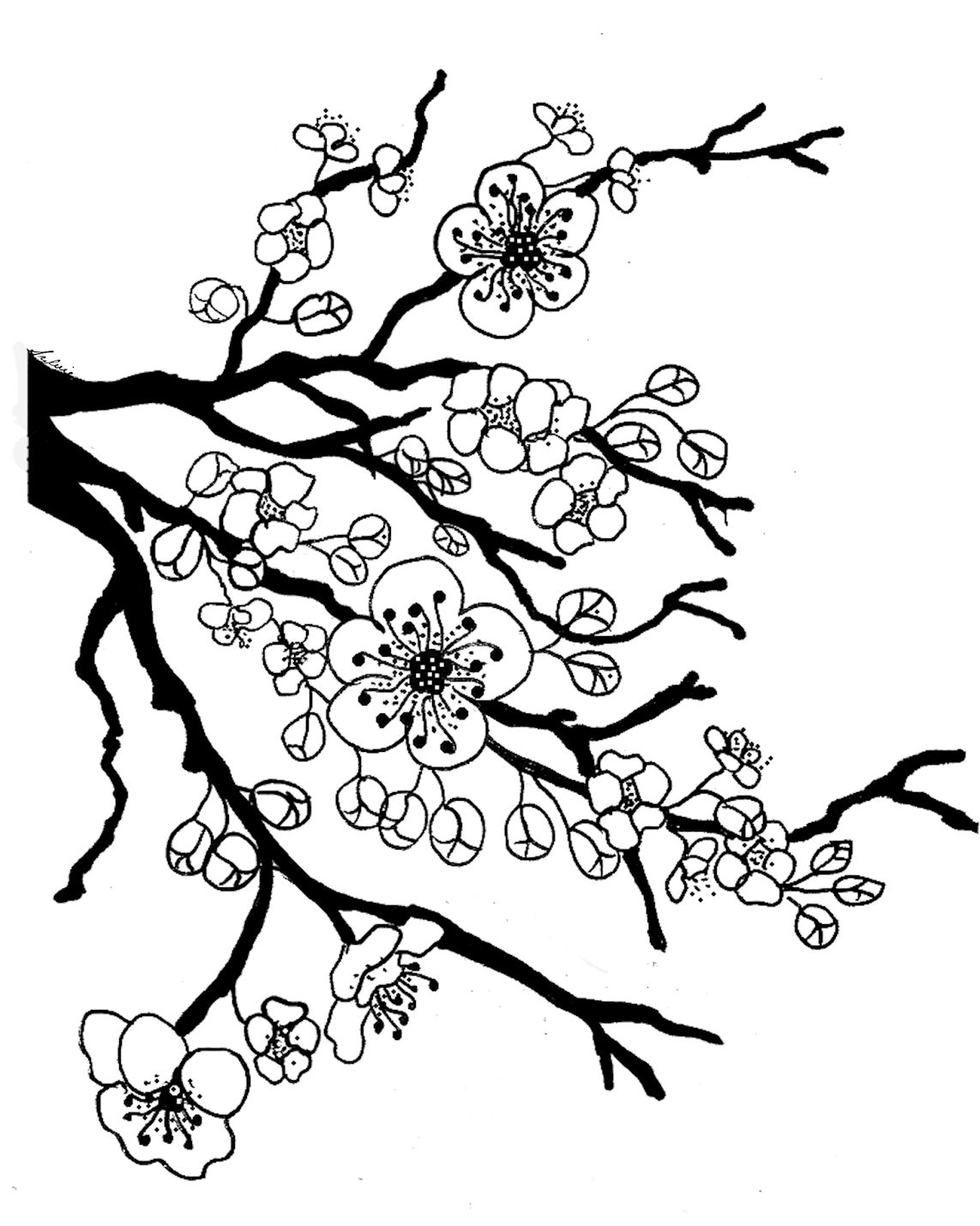 Ume Blossom coloring #12, Download drawings