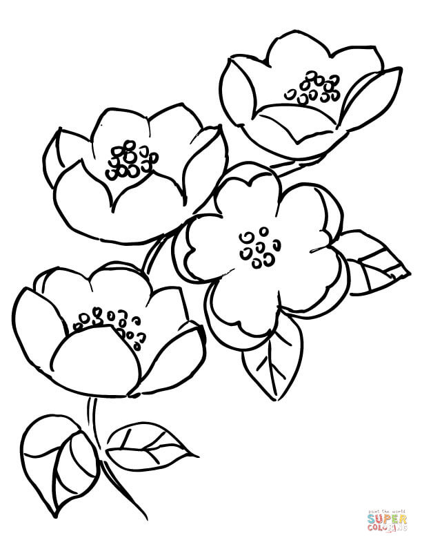 Blossom coloring #11, Download drawings