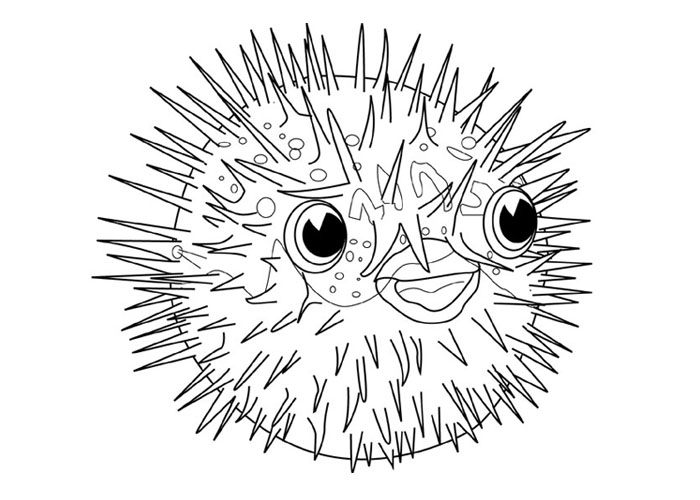 Blowfish coloring #7, Download drawings