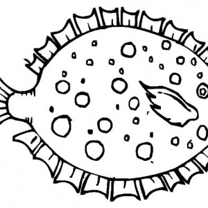 Blowfish coloring #12, Download drawings