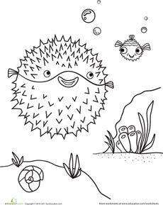 Blowfish coloring #3, Download drawings