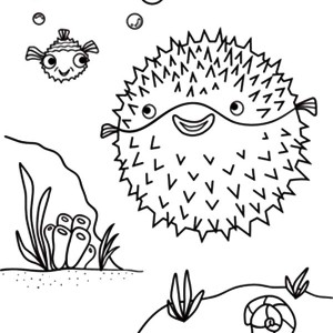 Blowfish coloring #2, Download drawings