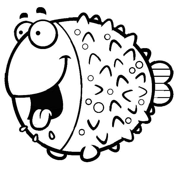 Blowfish coloring #4, Download drawings