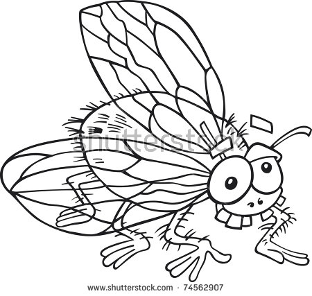 Blowfly coloring #19, Download drawings