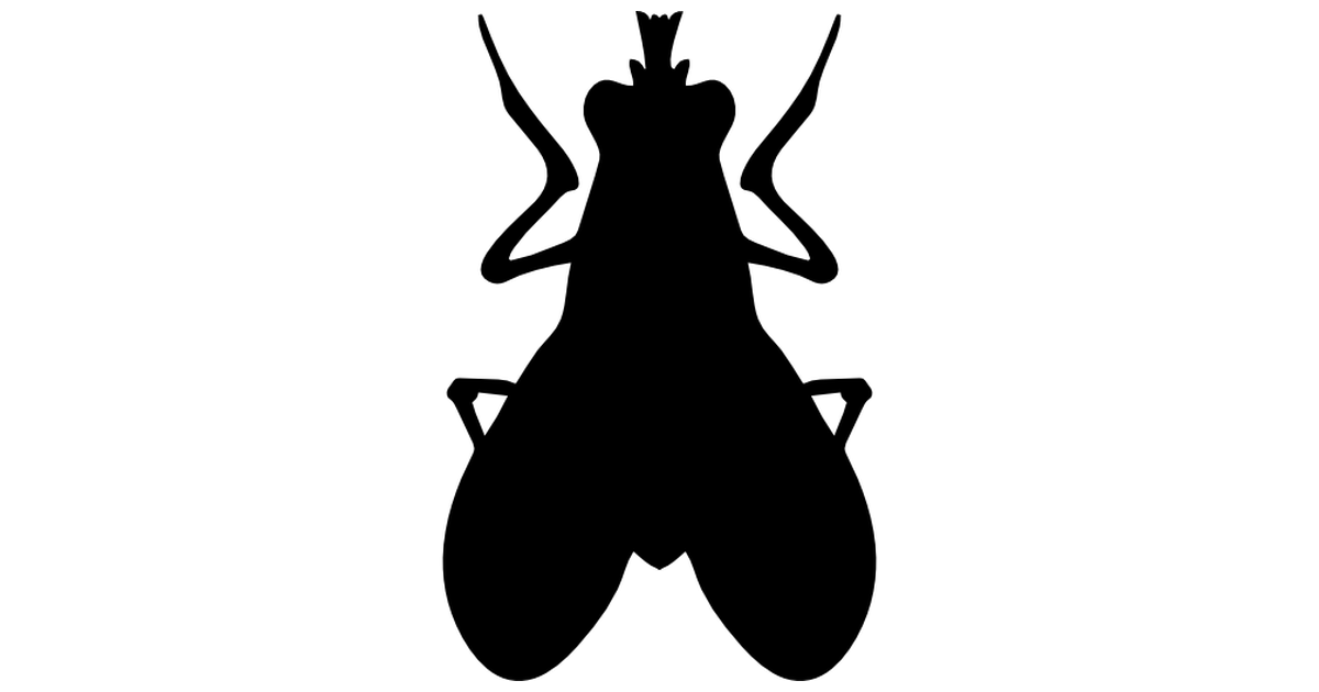 Blowfly svg #18, Download drawings