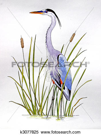 Blue Heron clipart #8, Download drawings