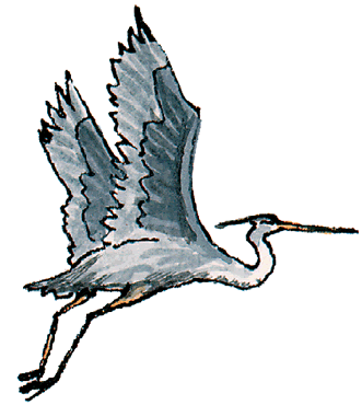 Blue Heron clipart #16, Download drawings