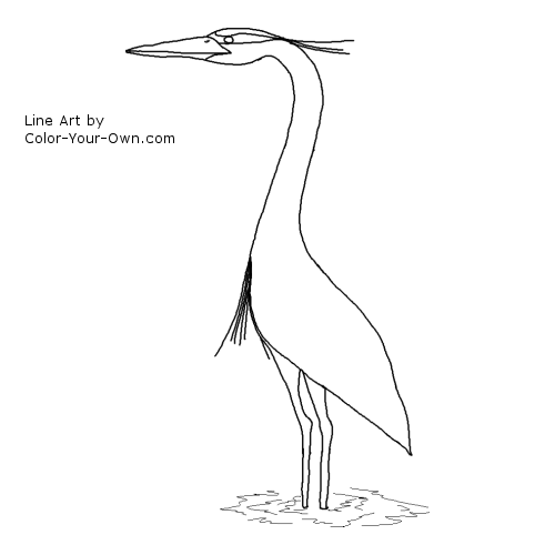 Blue Heron coloring #18, Download drawings