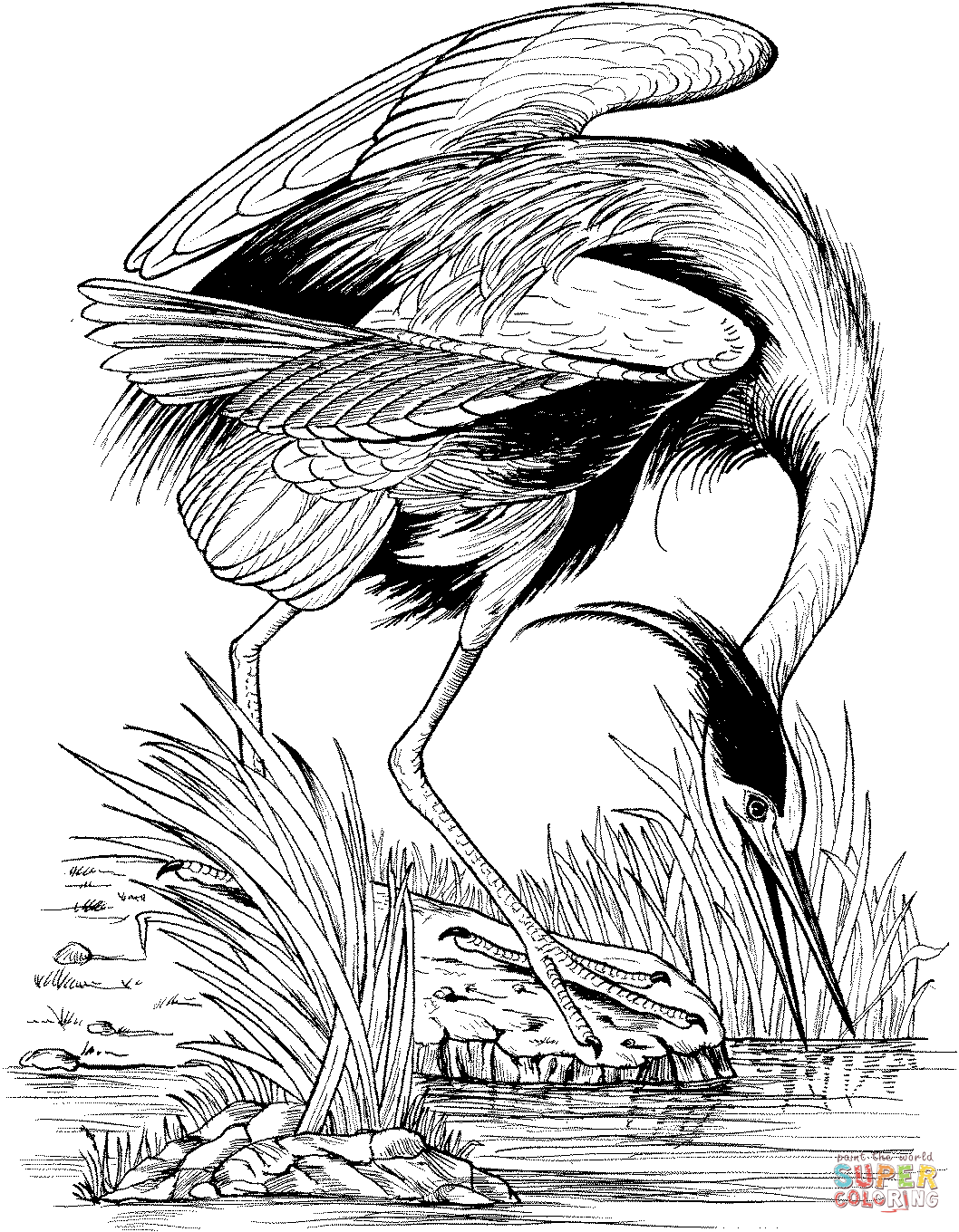 Blue Heron coloring #3, Download drawings