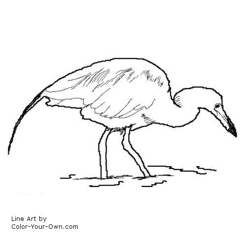 Blue Heron coloring #14, Download drawings