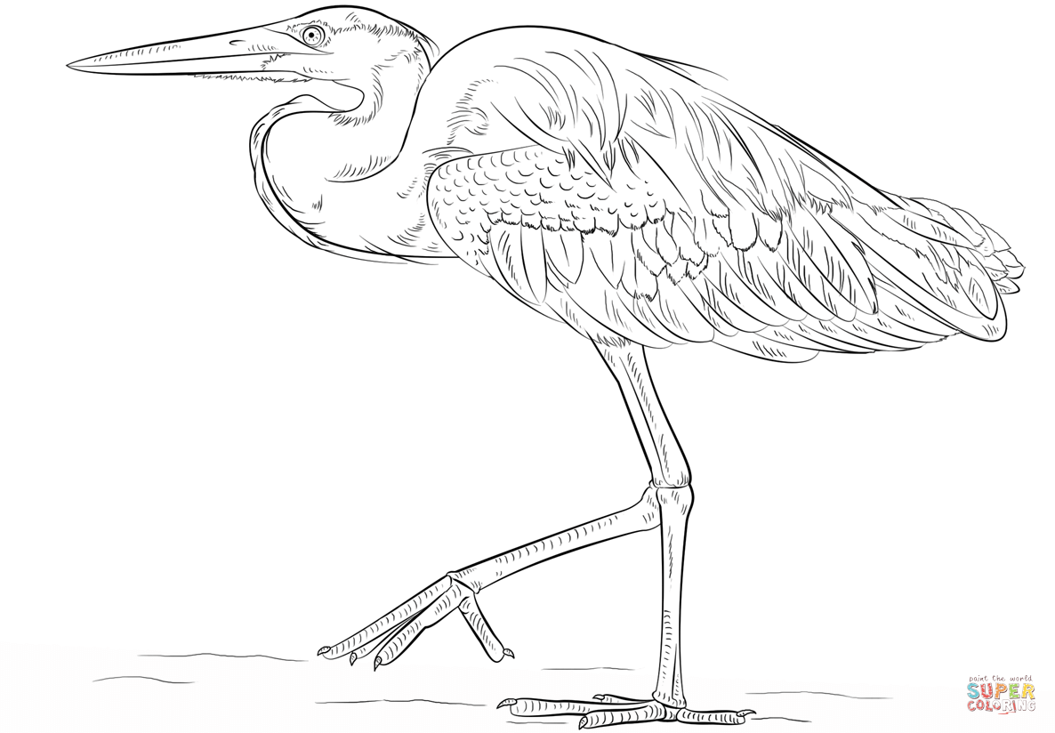 Heron coloring #15, Download drawings