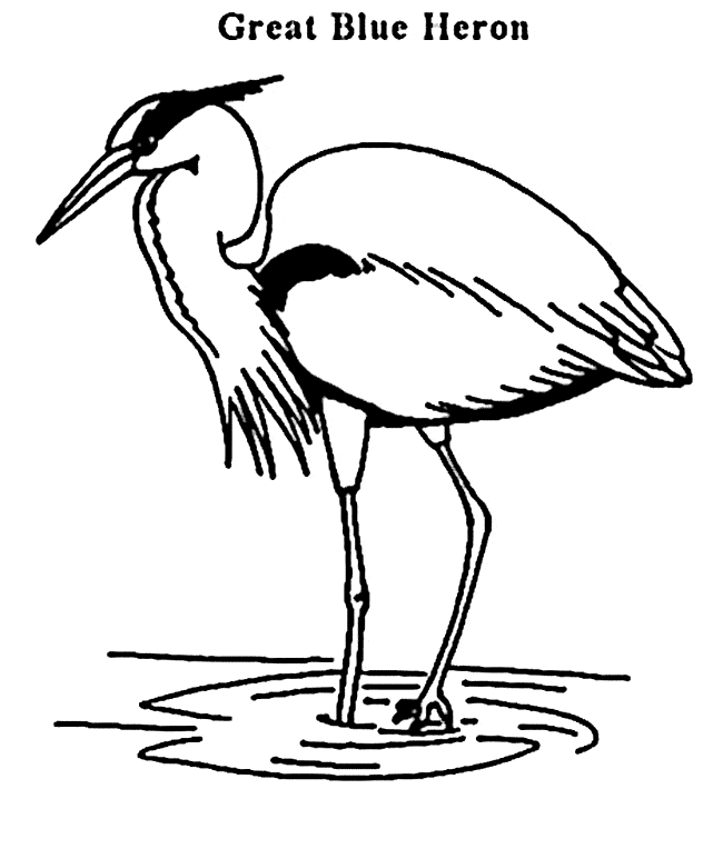 Heron coloring #3, Download drawings