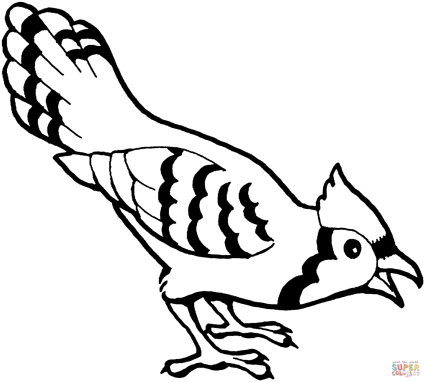 Blue Jay coloring #19, Download drawings