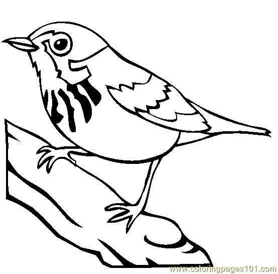 Blue Jay coloring #15, Download drawings