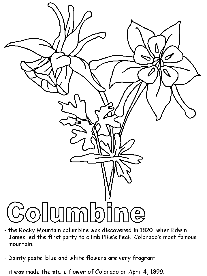 Columbine coloring #1, Download drawings