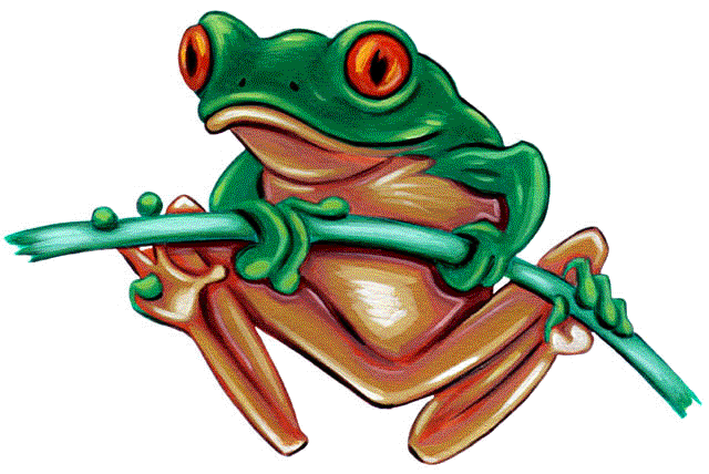 Blue Poison Dart Frog clipart #11, Download drawings
