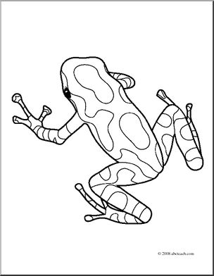 Blue Poison Dart Frog coloring #1, Download drawings