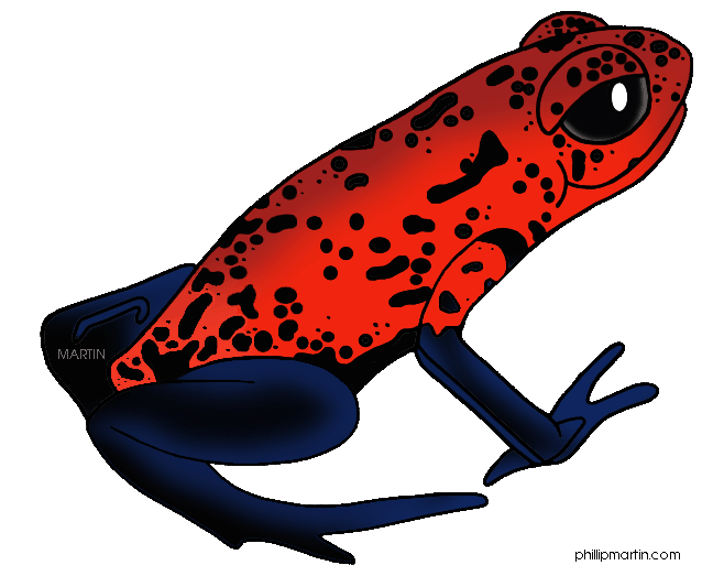 Poison Dart Frog clipart #19, Download drawings