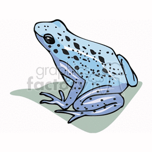 Blue Poison Dart Frog clipart #13, Download drawings