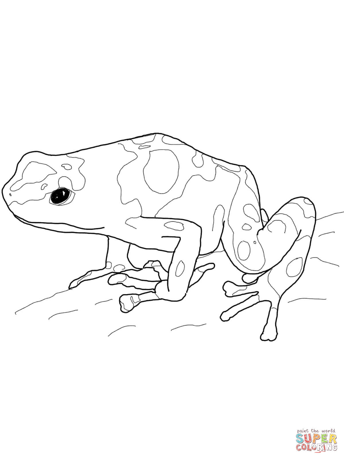 Blue Poison Dart Frog coloring #6, Download drawings