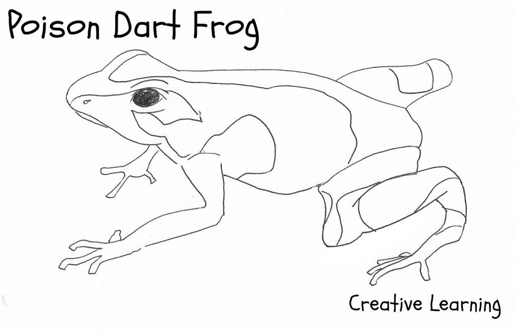 Blue Poison Dart Frog coloring #12, Download drawings