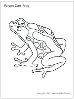 Blue Poison Dart Frog coloring #19, Download drawings