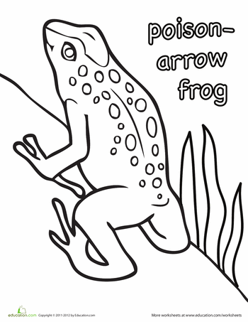 Blue Poison Dart Frog coloring #6, Download drawings