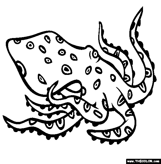 Blue Ringed Octopus coloring #20, Download drawings