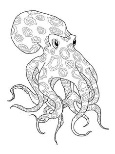 Blue Ringed Octopus clipart #10, Download drawings