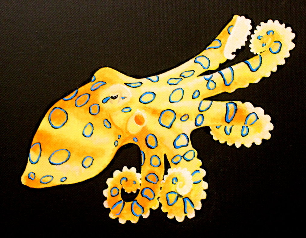 Blue Ringed Octopus clipart #8, Download drawings