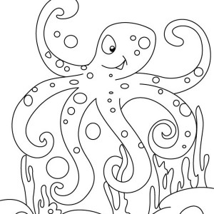 Blue Ringed Octopus coloring #14, Download drawings