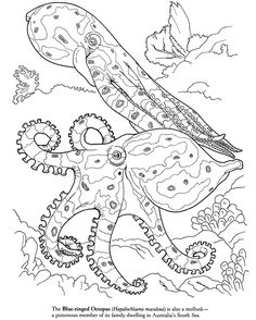 Blue Ringed Octopus coloring #10, Download drawings